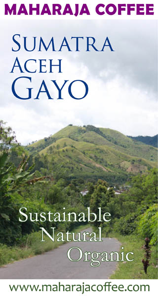 Sumatra Aceh Gayo Organic